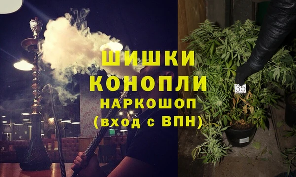 стаф Иннополис