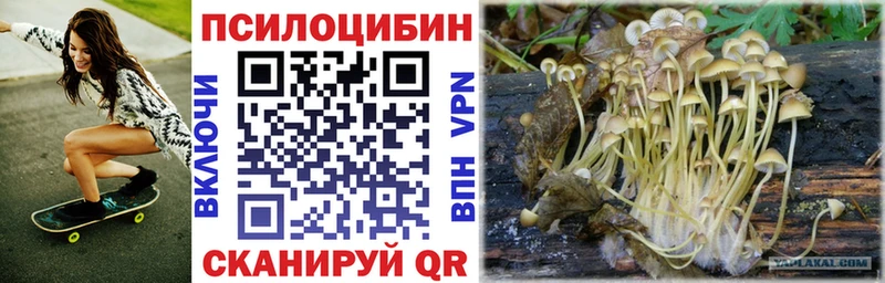 Купить где Богучар Псилоцибиновые грибы прущие грибы